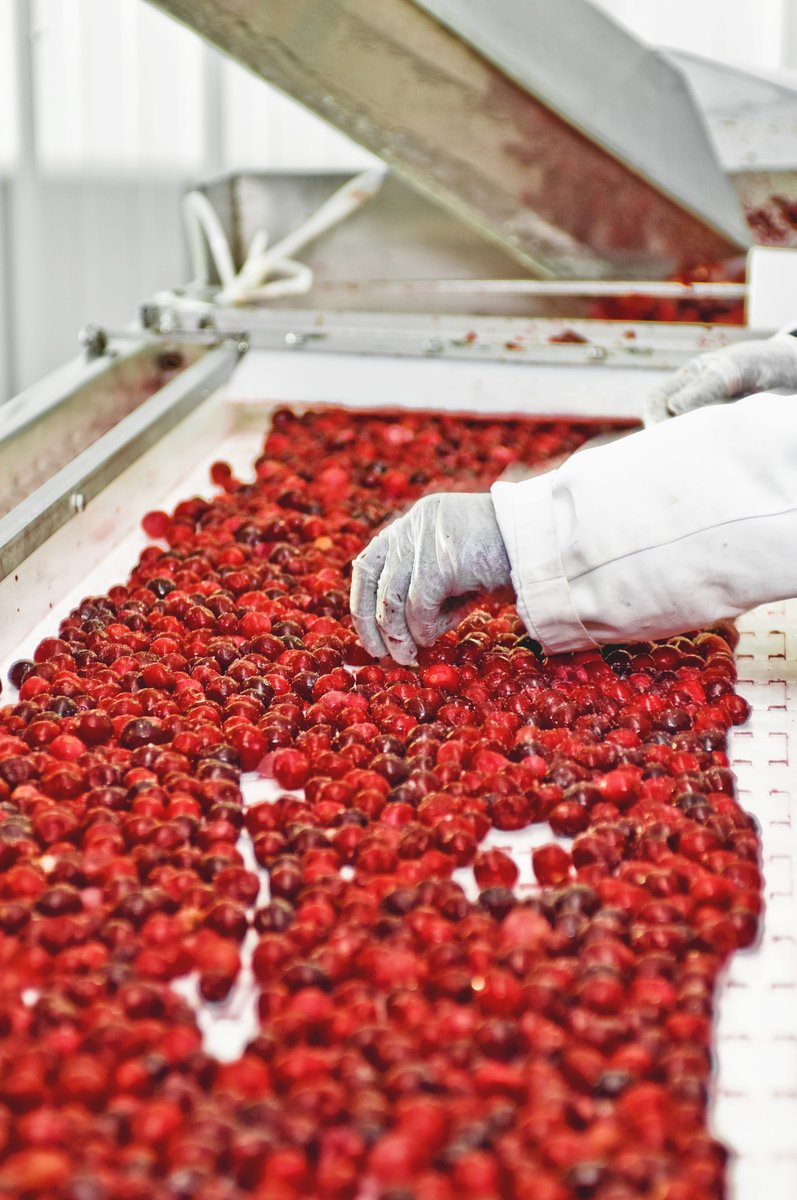 AAFC_Canada's tweet image. It’s #CdnAgDay! 🎉 Today, we celebrate the people that make our food so great.