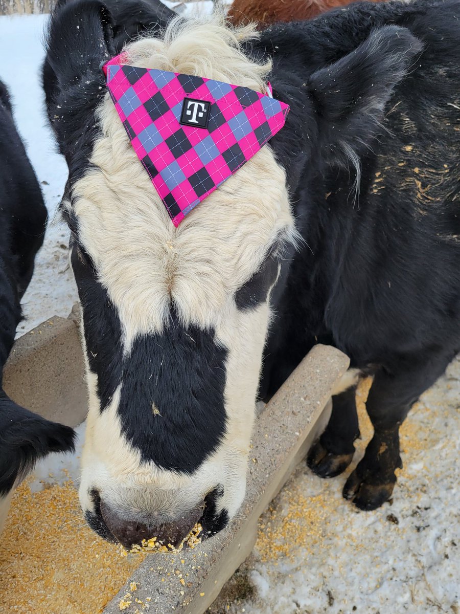 Trudy Waybill tweet media