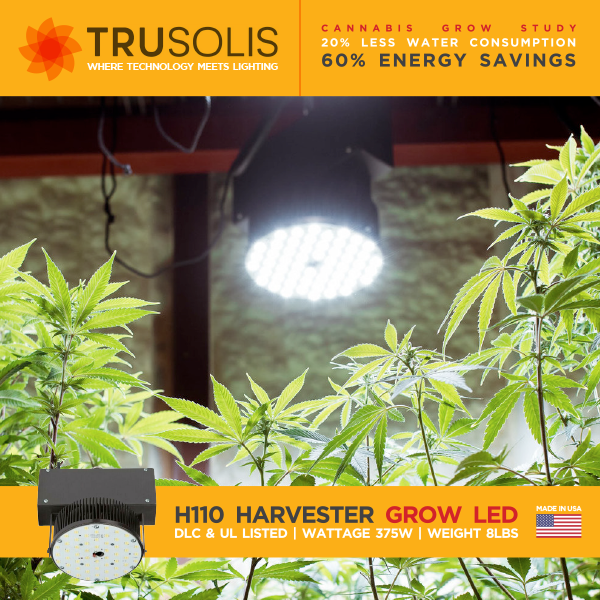 trusolis tweet picture