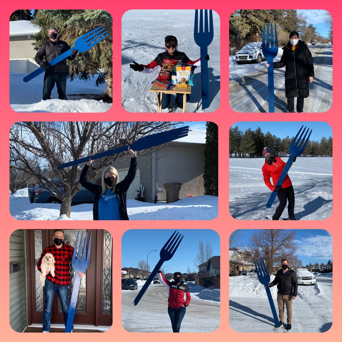 Sue_Ex's tweet photo. Having some fun putting our #forksup for Canadian ag and food!!! #cdnadday @DeanBarton1 @SK_Stacey @ElaineBrownlee @MenzelMegan @mike_tisdall @mcdougallsean1 @FCCfoodbeverage https://t.co/nXRvaEzMcO