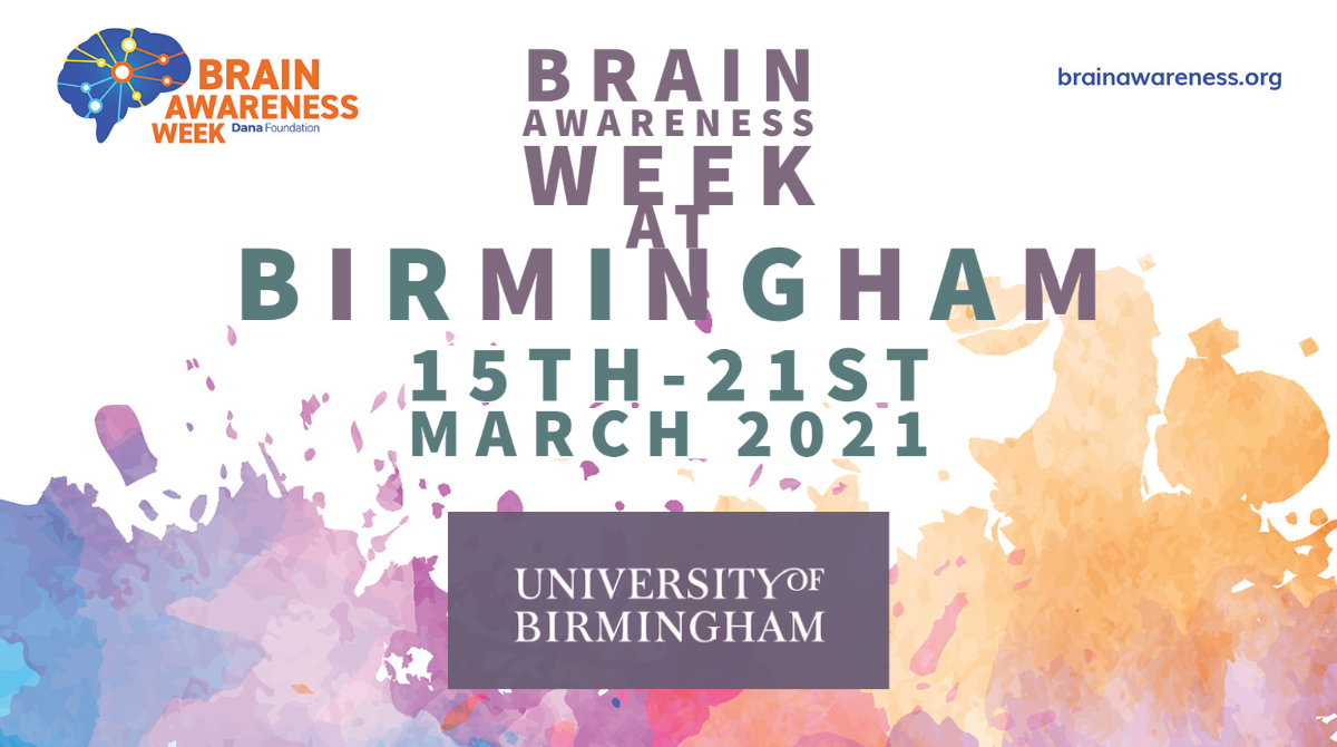 TheCHBH's tweet image. Keep a look out for more info soon! 🧠🤩
#BAWatBrum #BrainWeek #brainawarenessweek2021 #BAW2021 #BrainAwarenessWeek