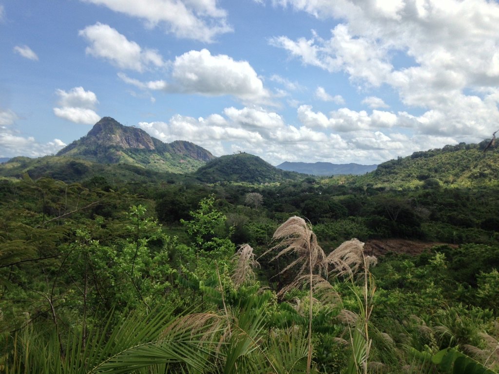 (1/5) Four papers on various aspects of land systems in eastern #Madagascar came out over the last few days - very exciting!

A #LandUseScience thread of four threads on #EcosytemServices, #Ecology, #Conservation, & #Hydrology.

👇👇👇
