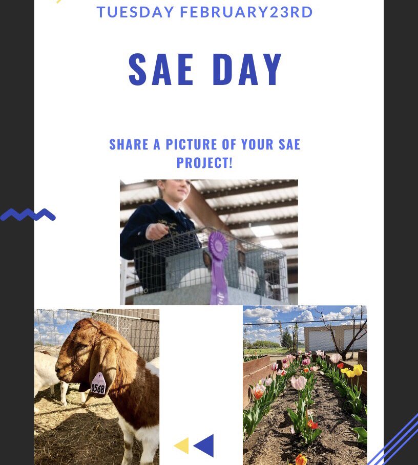 Second day of FFA week! Post a picture of your SAE project and tag us at <a href="/monacheffa/">Monache FFA</a> or DM us to earn an activity point.