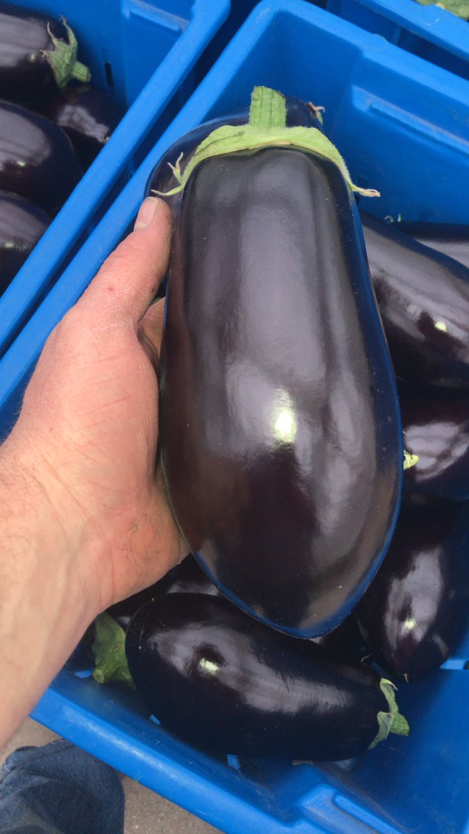 Harvest has officially started <a href="/eggplant/">eggplant emoji</a>