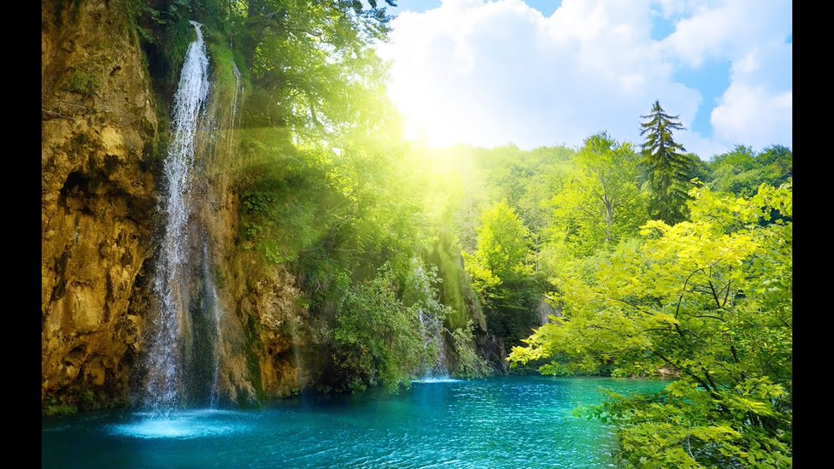 Michael Chatman tweet media