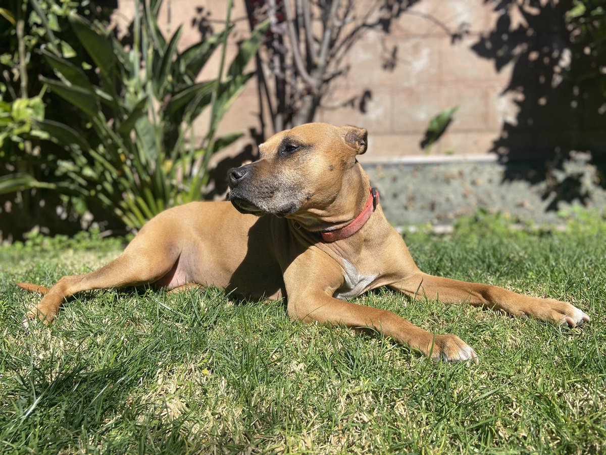 Sam Sanders tweet media