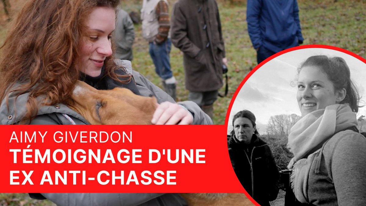 chasseacourre's tweet photo. Si on nous avait dit qu'une ex @AvaFranceOff  vous expliquerai comment se passe une #ChasseACourre, on n'y aurait pas cru.

Loin des préceptes du gourou totalitaire, @AimyG a découvert la réalité de la #vènerie
@dhoubron1759, elle vous montre ? 

🎥Vidéo : https://t.co/sCZjV80ELz https://t.co/kR3ldjwxcM