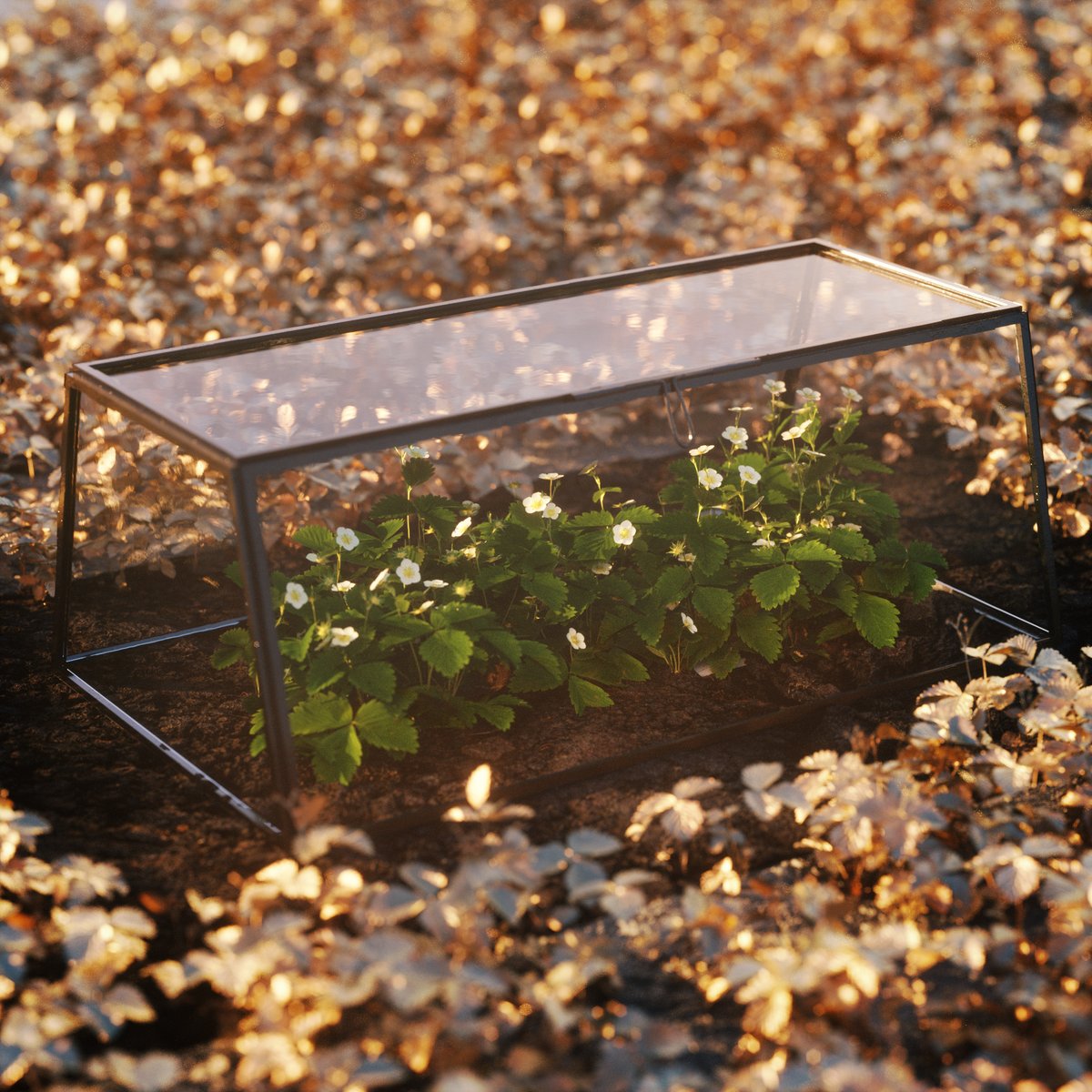 aixterior's tweet photo. Starting a new Mini Series. "Precious Farming" featuring our scanned 3dplant asset Fragariavesca. Some people also call it strawberry. And here it is, waiting to grow and prosper. Wireframe coming right along!

#3dscan #render #photogrammetry #digitalnature #3d #3dplant #3dnature https://t.co/aDuZgKErsR