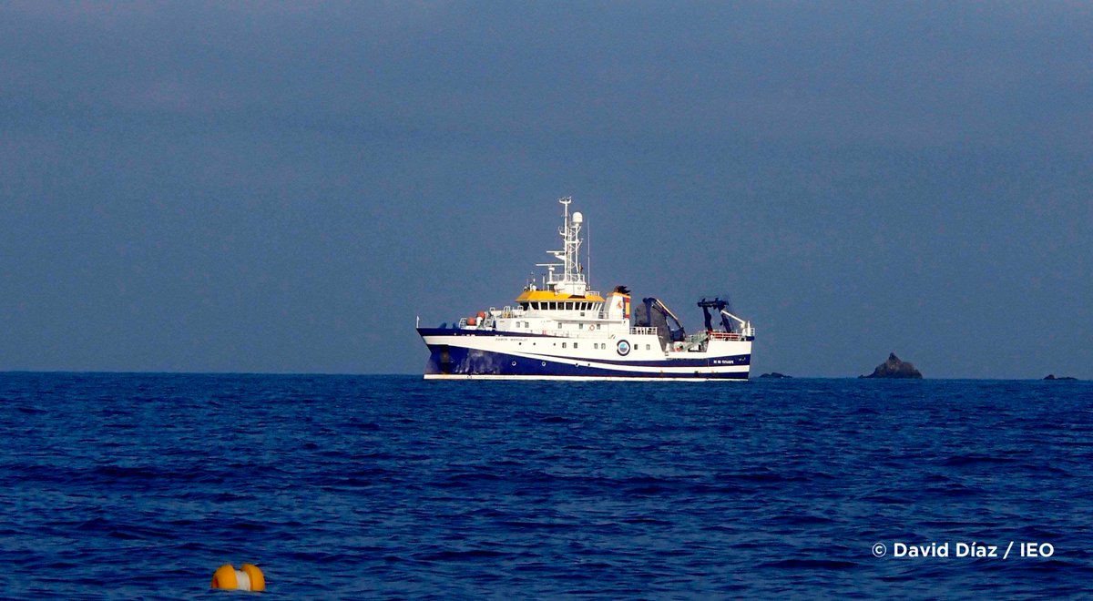 QuiquetGrao's tweet photo. Tradición marinera Grau de Castelló: Científicos del IEO constatan la riqueza de los fo... https://t.co/aBC88cpGTJ #ieo #columbretes #cientificos #gorgonias #Mediterranean #mediterraneo #MediterraneanSea #islascolumbretes #colcarto #LIFEINTEMARES #algaslaminarias #fondosdemaërl https://t.co/Xp6pFqd38P