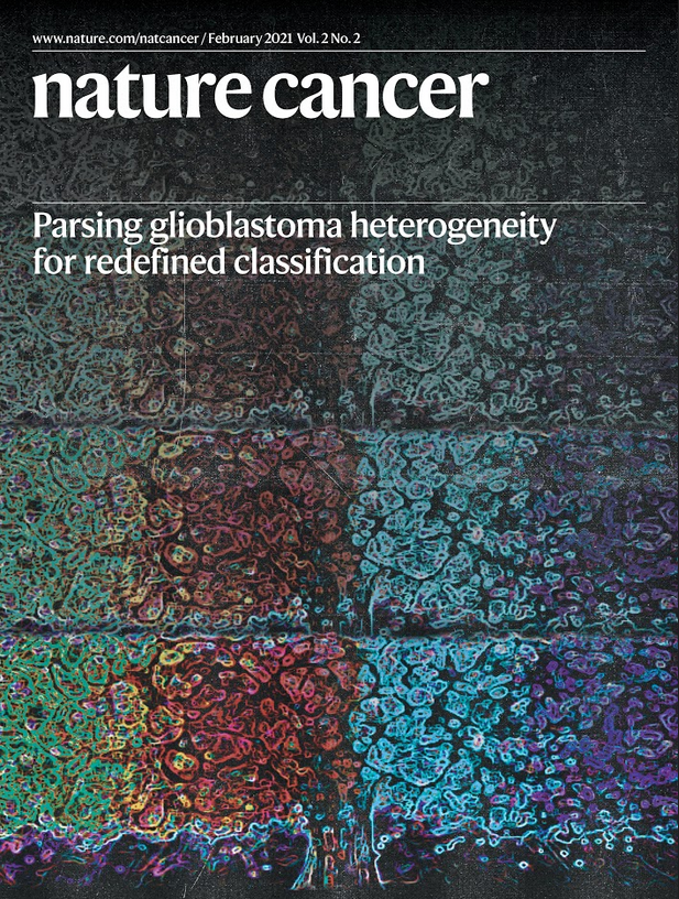 NatureCancer's tweet photo. ⚡️It is this time of the month - our February issue @NatureCancer is LIVE 🤩Check our exciting content: scRNAseq &amp; molecular #glioblastoma characterization, #metabolic dependencies, #TumorImmunology, #MachineLearning in therapy, #COVID19 &amp; much more!

https://t.co/n0T4XVIMLL https://t.co/c08kH2TCZi