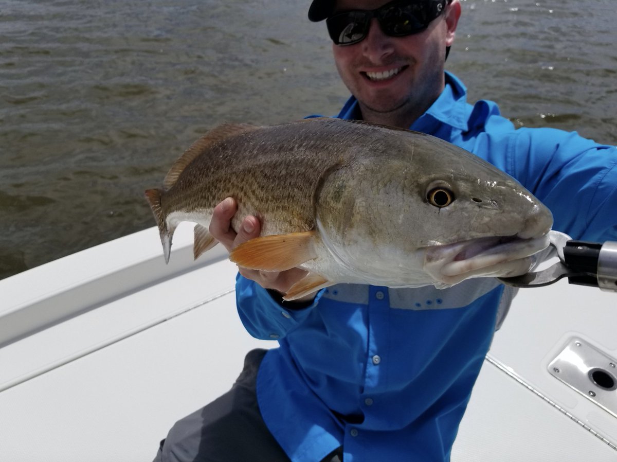 gofishanywhere's tweet photo. Up close and personal with one of the most popular inshore gamefish on the Gulf coast.... The Red Drum! Have you crossed this coveted species off of your bucket list? Prove it! Drop your picture in the comments 👇 https://t.co/Uaa0mQqpmu