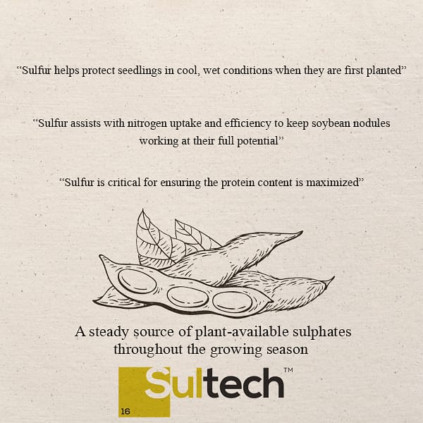 SultechGlobal's tweet image. Nearly two-thirds of the soybeans grown in Canada are destined for export markets
#soybean #sulphur #elementalsulphur #agriculture #sustainability #agronomy #soilhealth #soilsustainability #alberta #sask #manitoba #farming #agmorethanever #farmlife #agproud #farm365 #crops