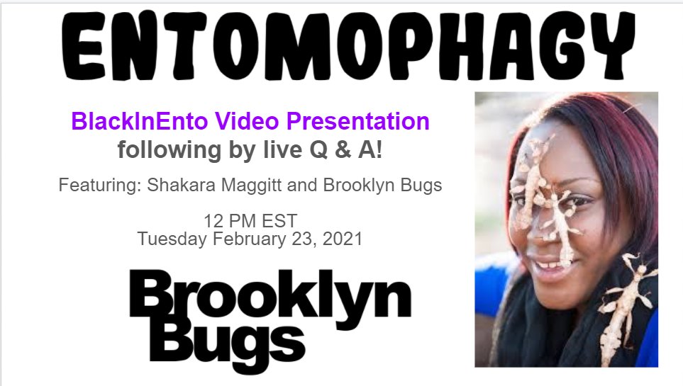 Interested in #entomophagy but missed registration? Now streaming on FB live NOW with @AgEntoGirl & @Brooklynbugs17  ❗️❗️they are cooking cricket-based mac & cheese❗️❗️ 🦗🦗facebook.com/blackinentomol…
#Blackinento @blackinento