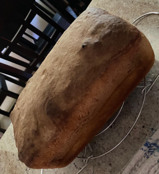SeCan's tweet photo. Happy #CdnAgDay! Raising our forks to all those in the ag industry providing quality food and to all those that aren't giving up on their sourdough recipes😂Here are some pictures of loaves made by our staff with our very own #AACBrandon flour! https://t.co/u4SIwNitEn