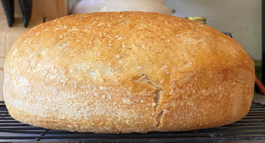 SeCan's tweet photo. Happy #CdnAgDay! Raising our forks to all those in the ag industry providing quality food and to all those that aren't giving up on their sourdough recipes😂Here are some pictures of loaves made by our staff with our very own #AACBrandon flour! https://t.co/u4SIwNitEn
