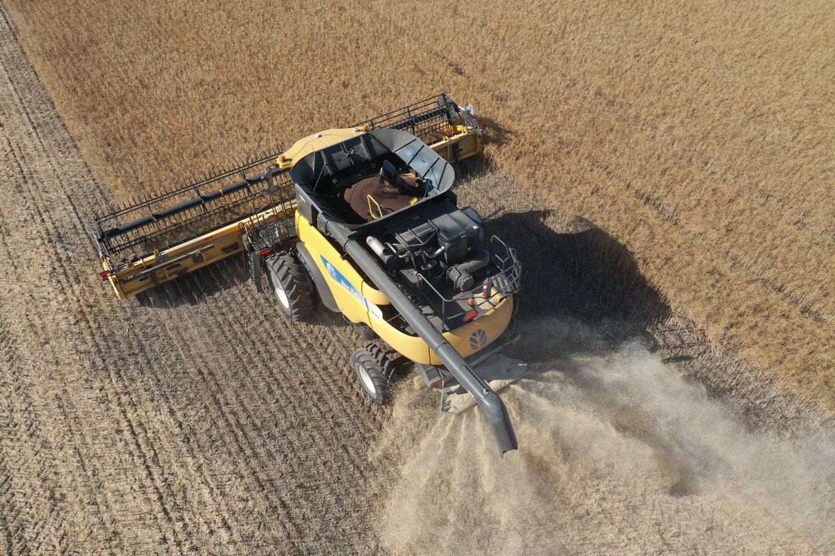 Scott Barr tweet media