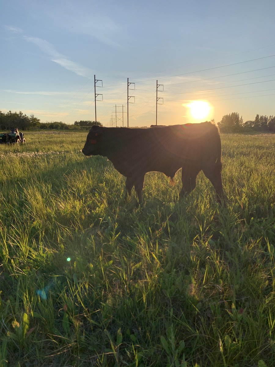 Scott Barr tweet media