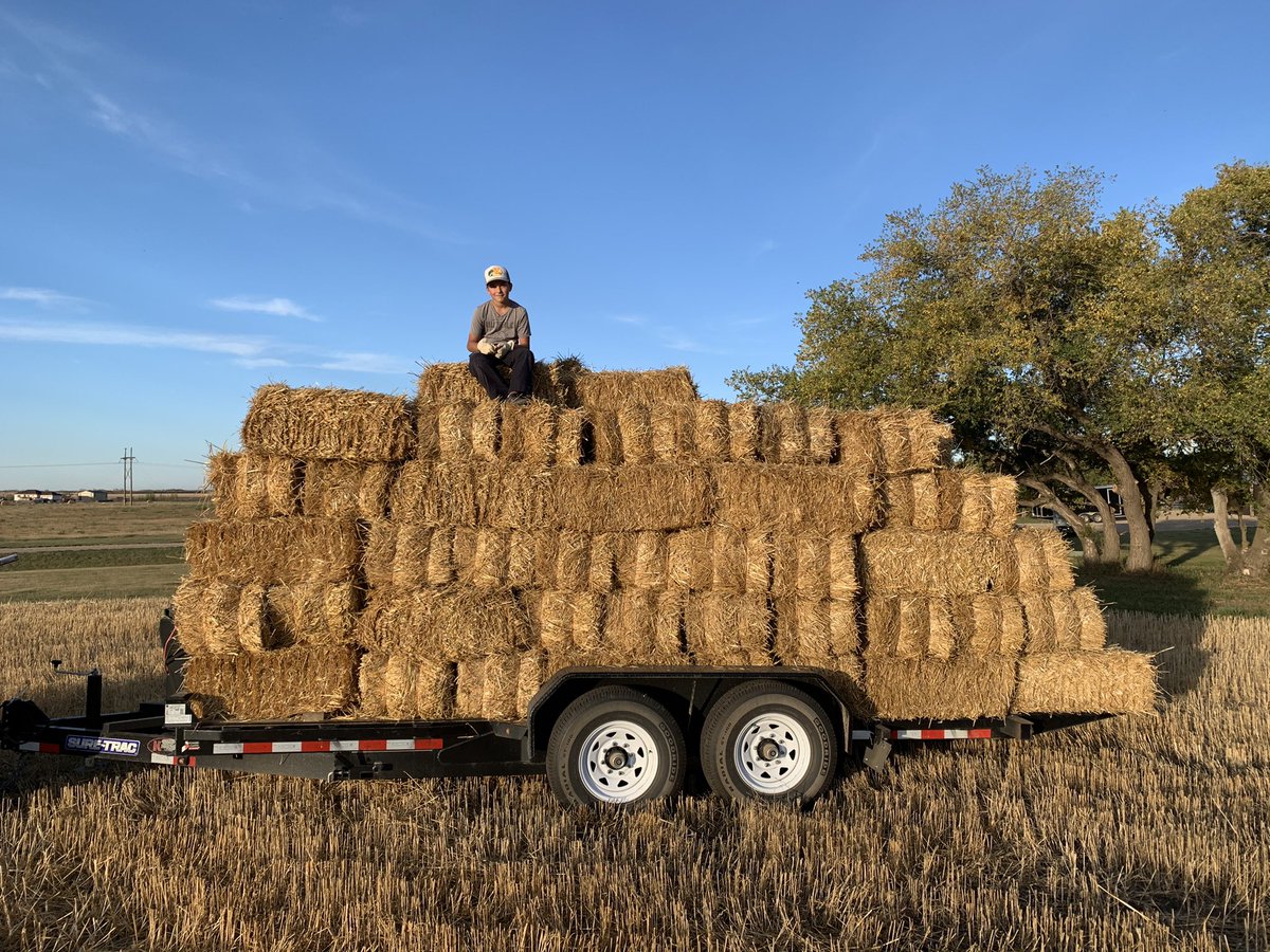 Scott Barr tweet media