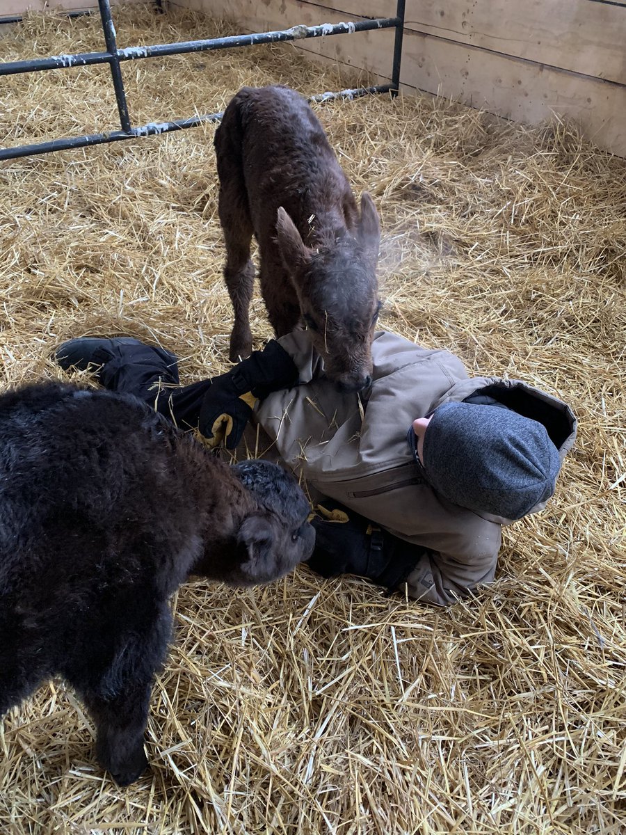 Scott Barr tweet media