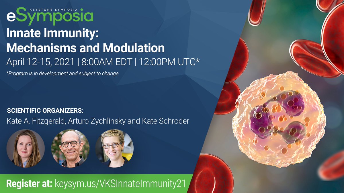 Inflammasome Lab (@inflammasomelab) on Twitter photo Join me in April for <a href="/KeystoneSymp/">Keystone Symposia</a> virtual #eSymposia, #InnateImmunity: Mechanisms and Modulation, to discover emerging research on #NKCells, #Macrophage, #Neutrophils and more. keysym.us/VKSInnateImmun… #VKSInnateImmunity21 Join me in April for <a href="/KeystoneSymp/">Keystone Symposia</a> virtual #eSymposia, #InnateImmunity: Mechanisms and Modulation, to discover emerging research on #NKCells, #Macrophage, #Neutrophils and more. keysym.us/VKSInnateImmun… #VKSInnateImmunity21
