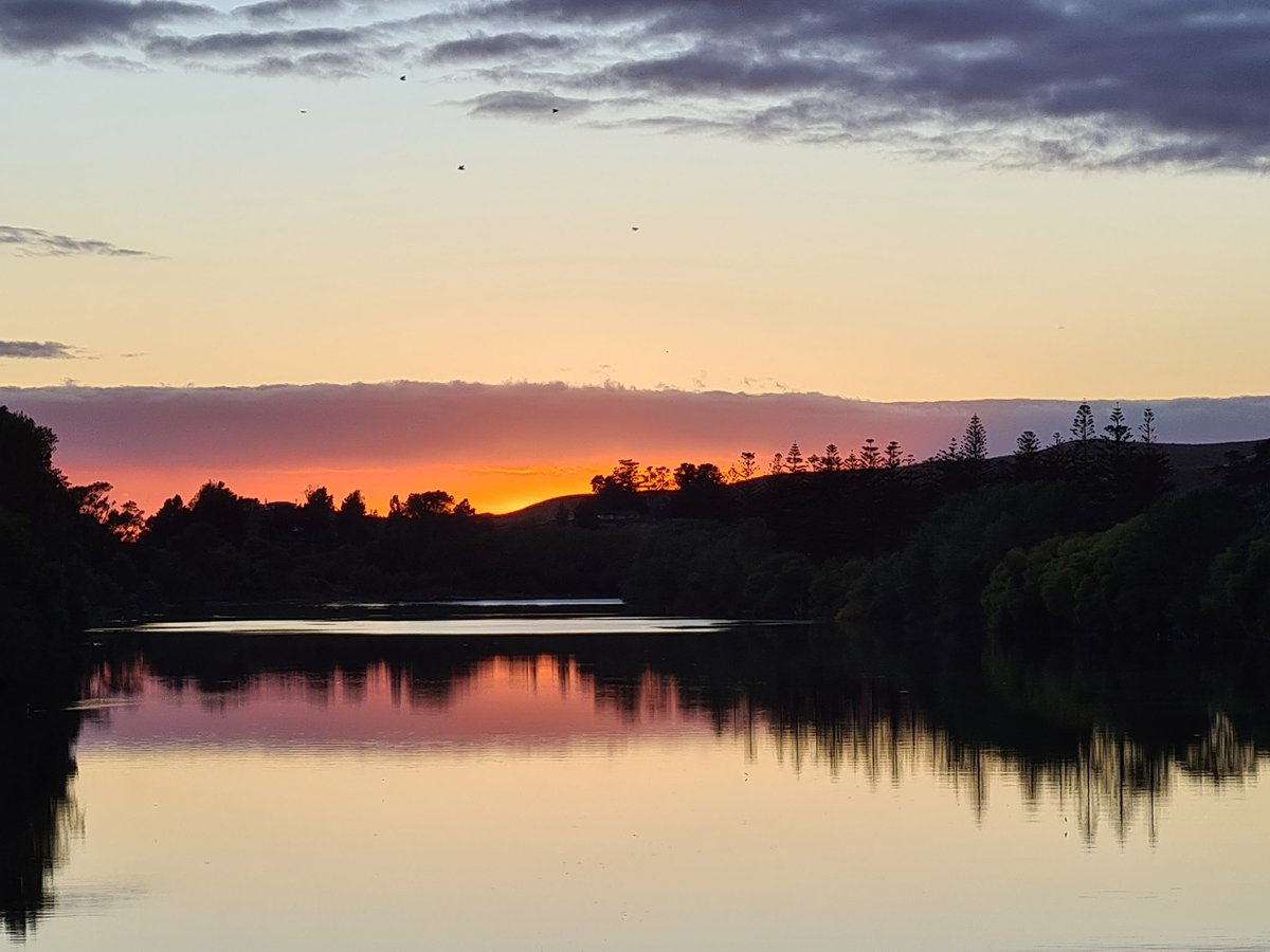 HoneyBeeGeek's tweet photo. Wairoa!  Ataahua. https://t.co/YHsdykLYPg