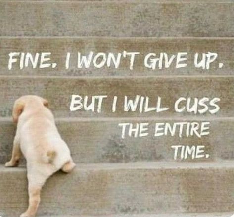 Ruth Talbot I Author I Master Practitioner & Coach tweet media