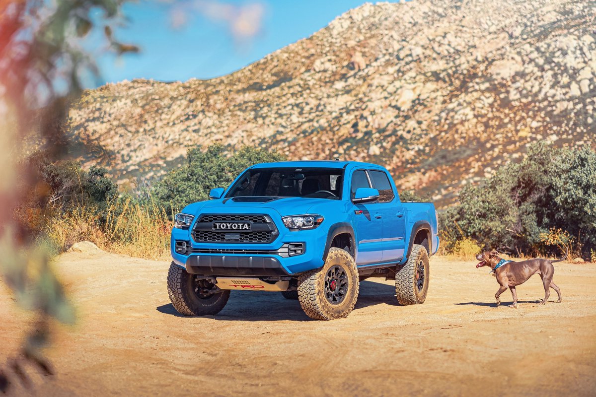 ToyotaPortland's tweet photo. Sunny Days Ahead! ☀️

#offoad #offroadtrucks #offroading #Tundra #Tacoma #4Runner #Rav4 #HighLander #LandCruiser #toyotalove #toyotanation #toyotausa #toyota #toyotastrong #toyotafamily #teamtoyota #pnw #nw #portland #portlandoregon #oregon https://t.co/AhZFxhijl1