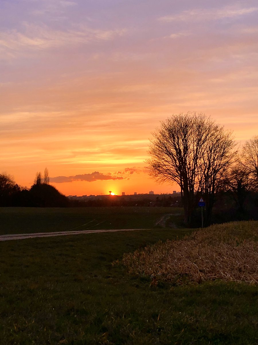 sch_etera's tweet photo. Prémices du printemps 🧡... https://t.co/cPh6Eg5s6u