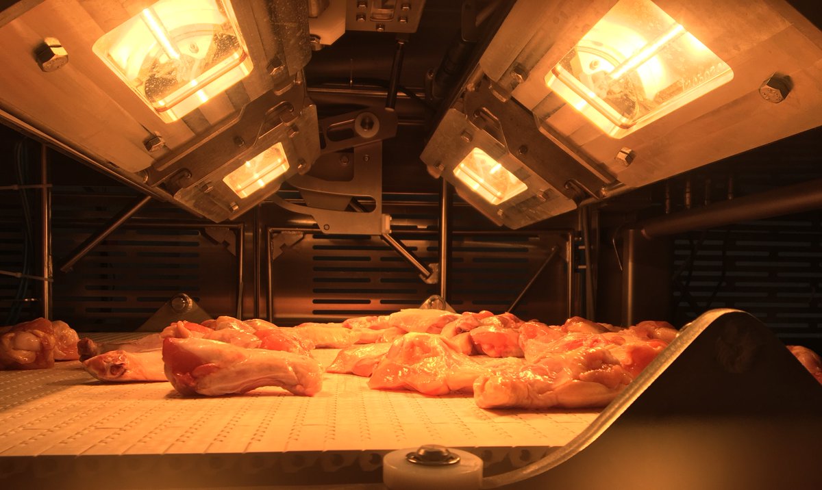 PPOptica's tweet image. We&apos;re currently testing foreign material detection on chicken wings using our double-sided system!

Want to learn how automation can optimize your production? Check out our webinar for #Poultryprocessors on our resource page - bit.ly/3qO2djh

#Whatsinyourfood
#foodsafety