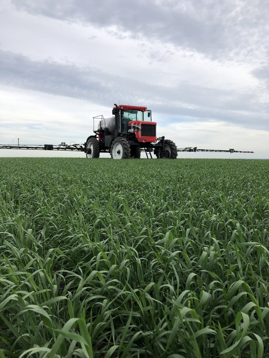 Happy #CdnAgDay. Extremely proud to be apart of this industry in multiple ways. Heres to an even better 2021!