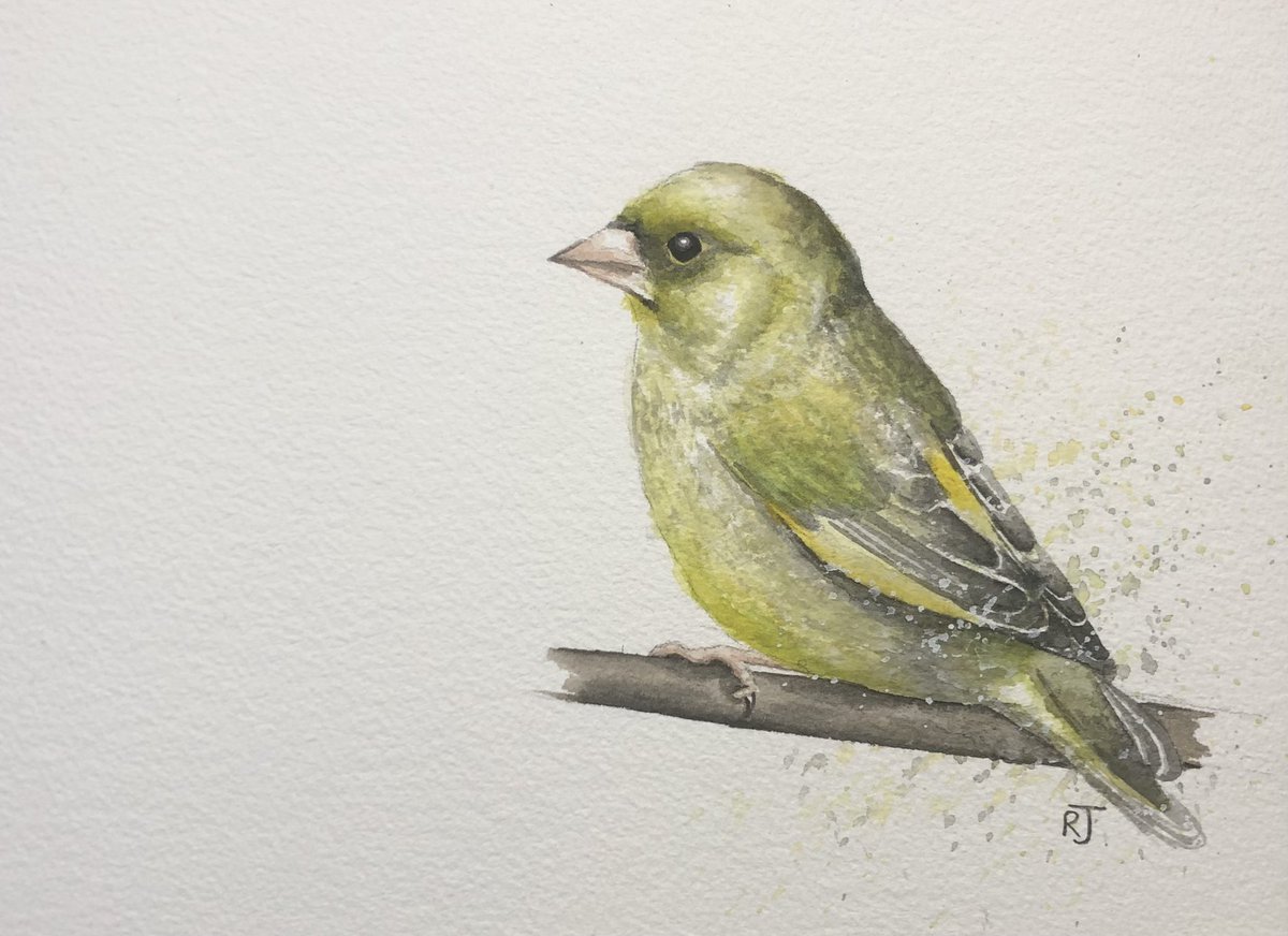 AWatercolour's tweet image. To relax between on-line parents’ evening slots, I did a sketch of a green finch. It was in just odd 10 minute gaps - probably taking about 40 minutes in all.