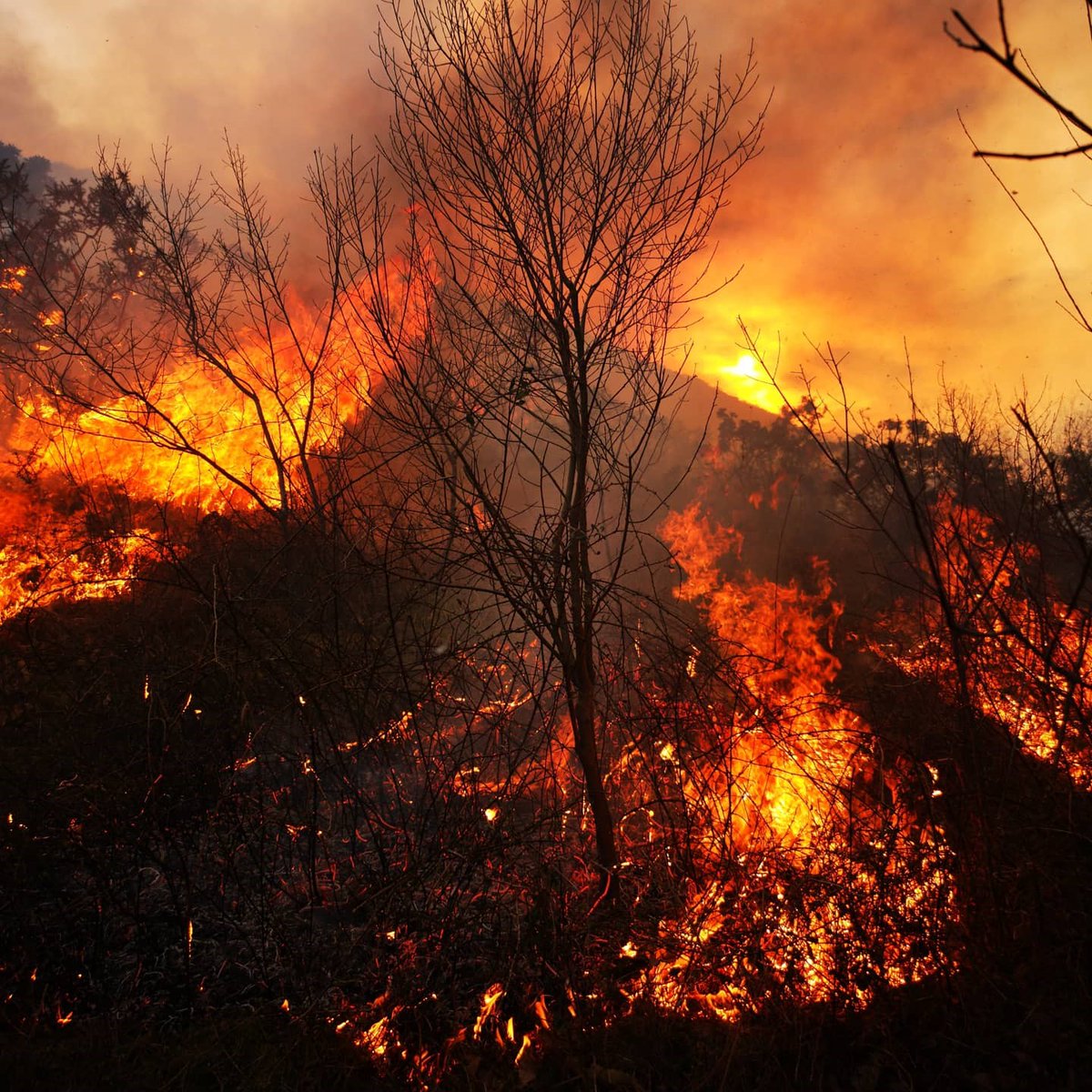 icipaysbasque's tweet photo. #Incendies de La #Rhune : "c'est un acte criminel" pour les maires @ascain_d #Biriatou @Ville2Ciboure #Sare #urrugne et @CommunautePB 
"Un long travail de reconstruction" transfrontalier débute
via @Bleu_Basque 
📸P.Nicolai (Radio France)
https://t.co/TLISEQhTKJ https://t.co/Kzx22Q6qic