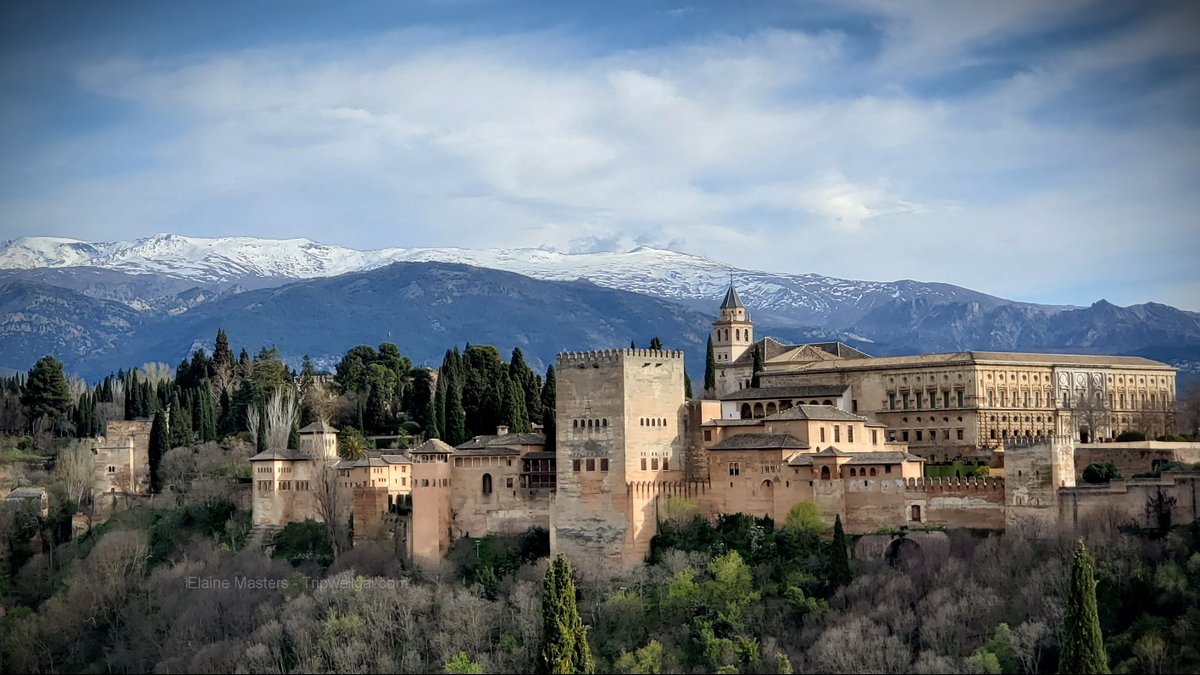 Elaine J Masters tweet media