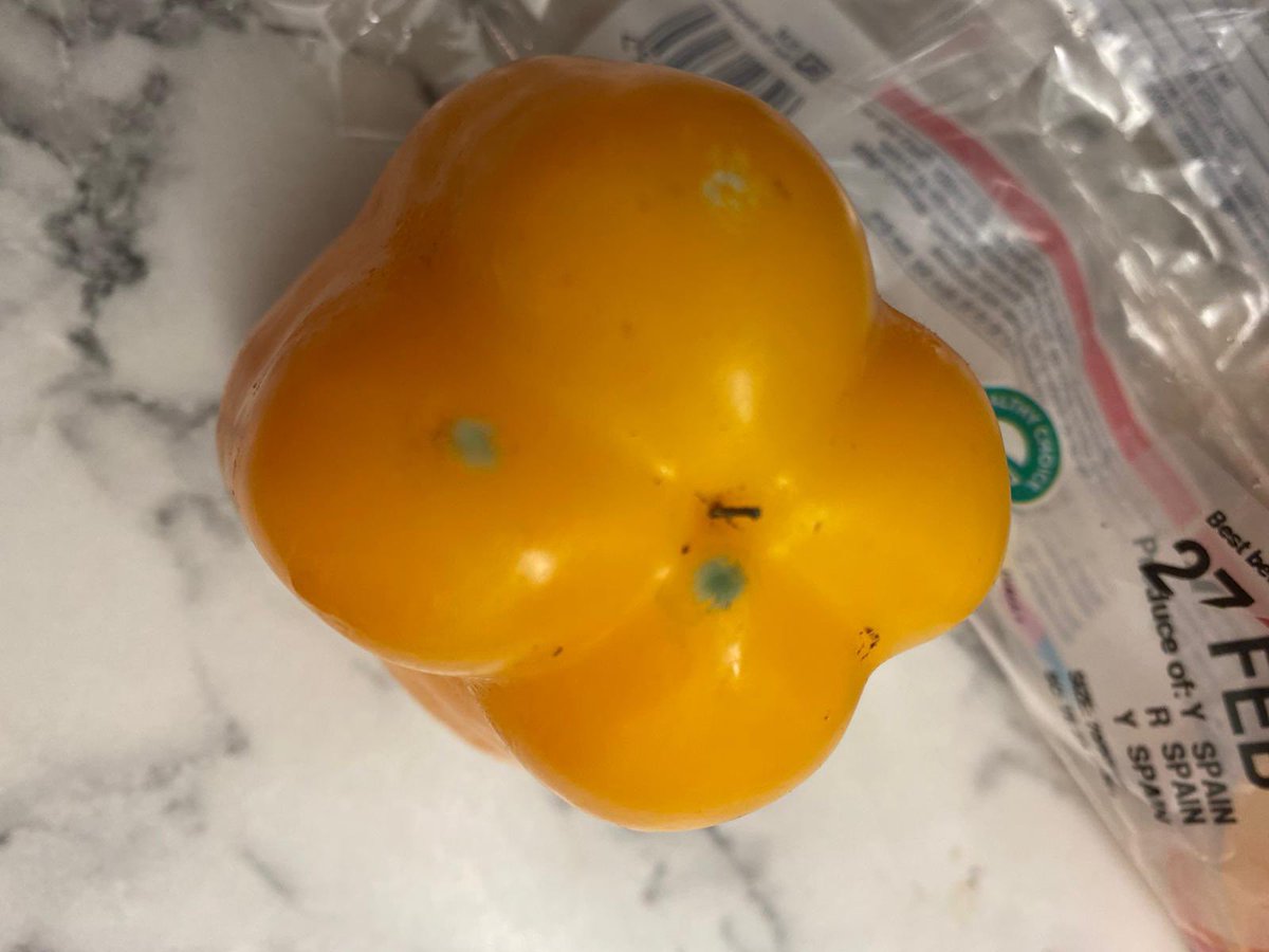 SimonsZack's tweet photo. When you go to cook peppers that you purchased today from @Tesco and they look like this! .... They have 4x days left on them! Gross! In the bin they go then! 😡 @SarahWelsh_  #mold #gross #inedible #Tesco #food #foodie https://t.co/9FzjNfJDq5