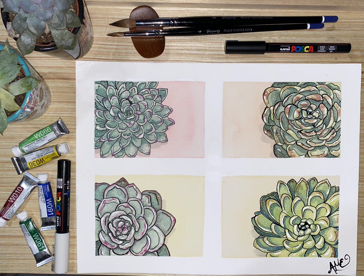 a_m_e_arts's tweet photo. 9x12 #watercolor, ink, and posca paint pens. 

#Succulents are just so fun and calming to #paint 🌱 https://t.co/tjUoOtnxJs