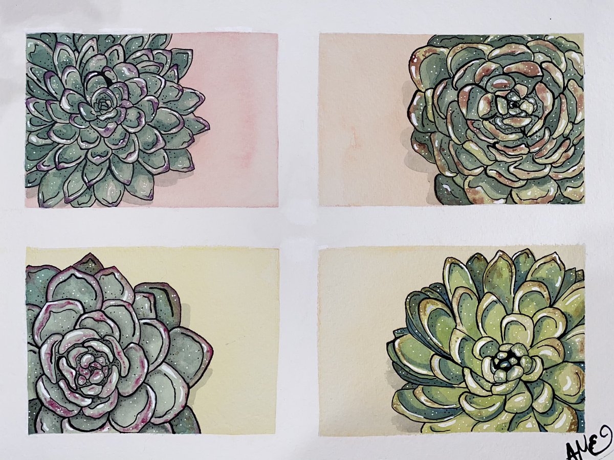 a_m_e_arts's tweet photo. 9x12 #watercolor, ink, and posca paint pens. 

#Succulents are just so fun and calming to #paint 🌱 https://t.co/tjUoOtnxJs