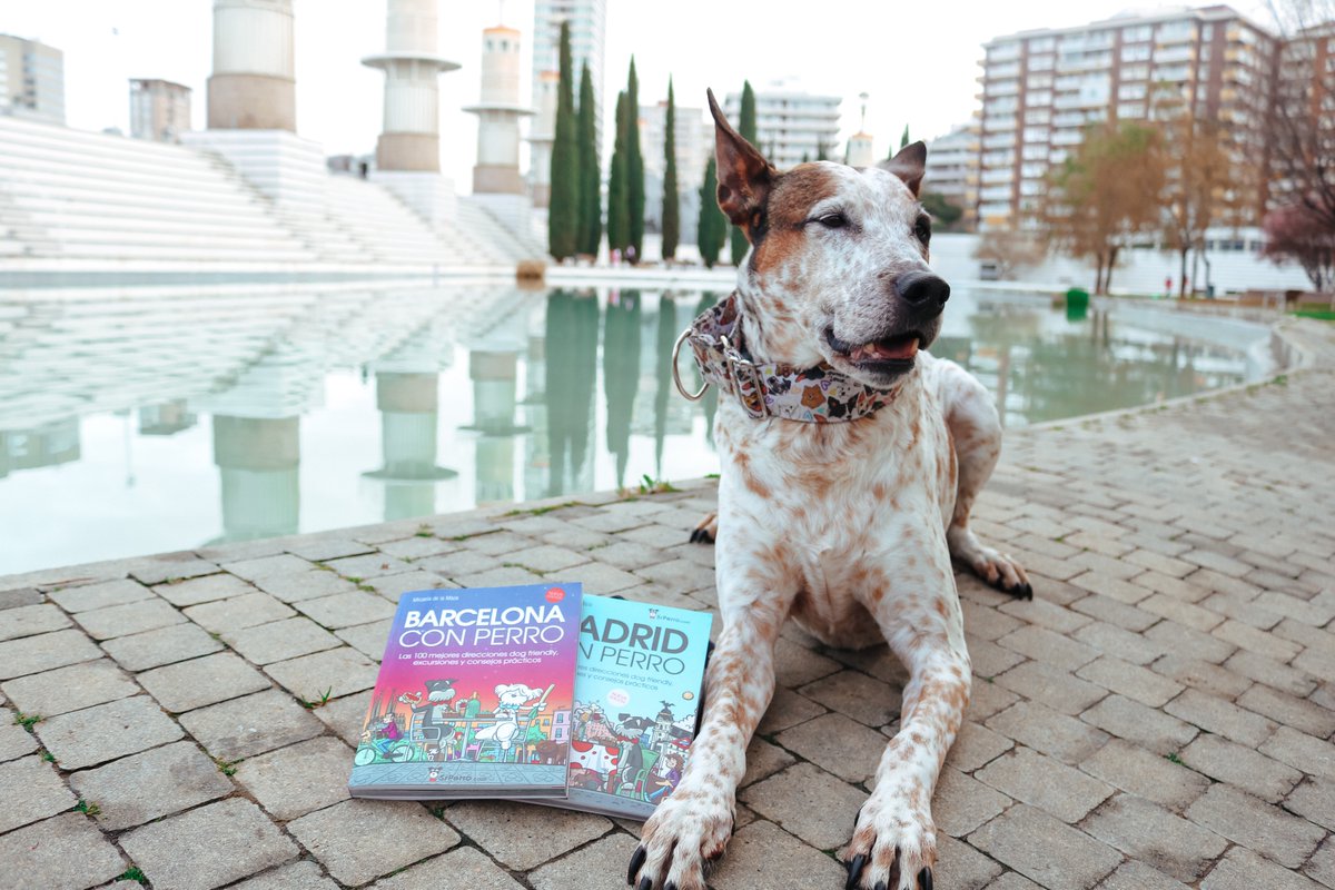 turismocan's tweet photo. ¡Descubre #Barcelona y #Madrid con tu #perro con las guías urbanas de @_SrPerro ! 🙌
https://t.co/AfP7nUIBOt
#turismocanino #viajarconperro #dogfriendly https://t.co/ZZJQXoAcZf
