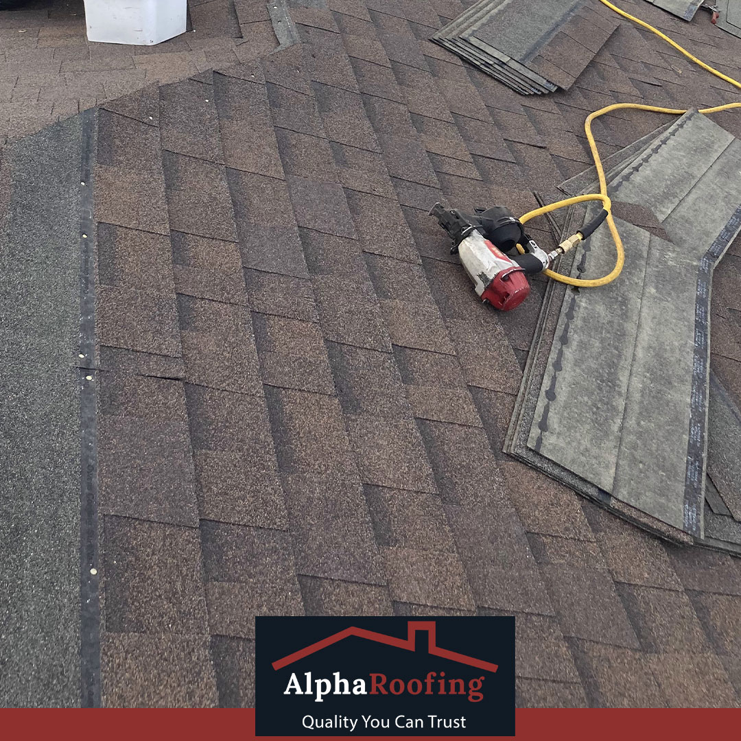 alpharoofingsd's tweet photo. Forest Brown anyone?🤙 
This south bay home has a fresh new look 😎

Quality You Can Trust 👍⠀

#alpharoofinginc #sandiegoroofer #roofingcontractor #familyowned #roofer #residentialroofing #reroof #roofingexpert #shingleroofing #homeimprovement #hireapro https://t.co/IboiSt9xt5