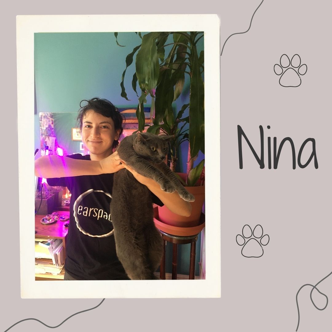 earspace_ens's tweet photo. Introducing our pawsome furry friends! Meet Nina, Arthur, Raclette, Lexie, Asai, and Rascal ​🐶🐾🐱 https://t.co/ouWkNeXkyN