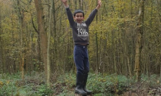 Timbertree Year 6 tweet media