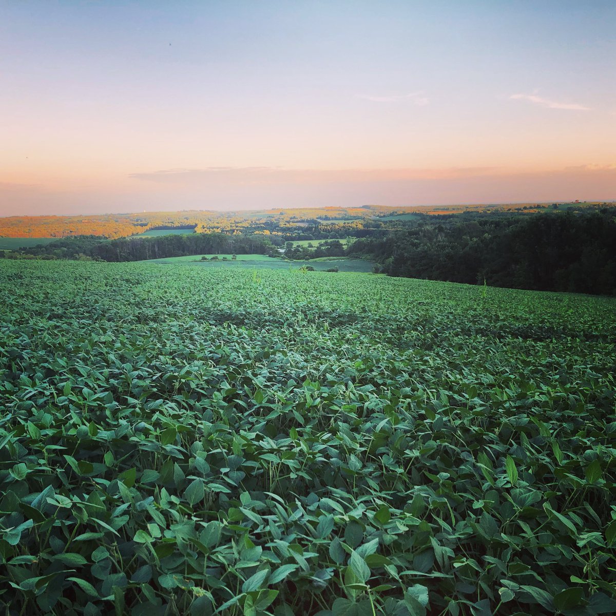 It’s #CdnAgDay! Here’s to the farmers, future generation of farmers, and all those involved in our Canadian agriculture industry!
#thankafarmer #localfarms #canadianagriculture @localladsfarm