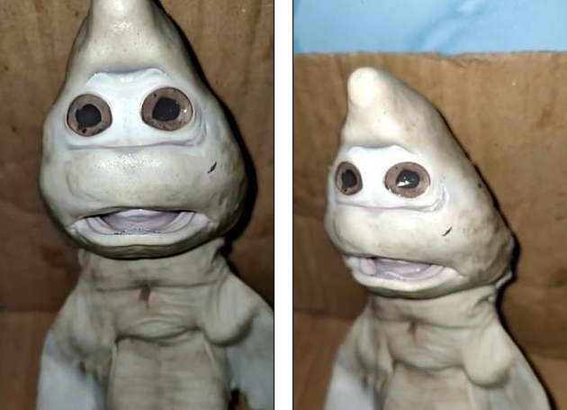 Therealgsns's tweet photo. Mutant Fish Is Born With 'HUMAN FACE' In Indonesia https://t.co/53suVhOrEg via @YouTube #Indonesia #Shark #HumanFish #SharkHumanFish https://t.co/9OZ4rIr5O9