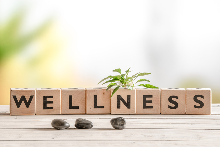 Well-Being Travel tweet media