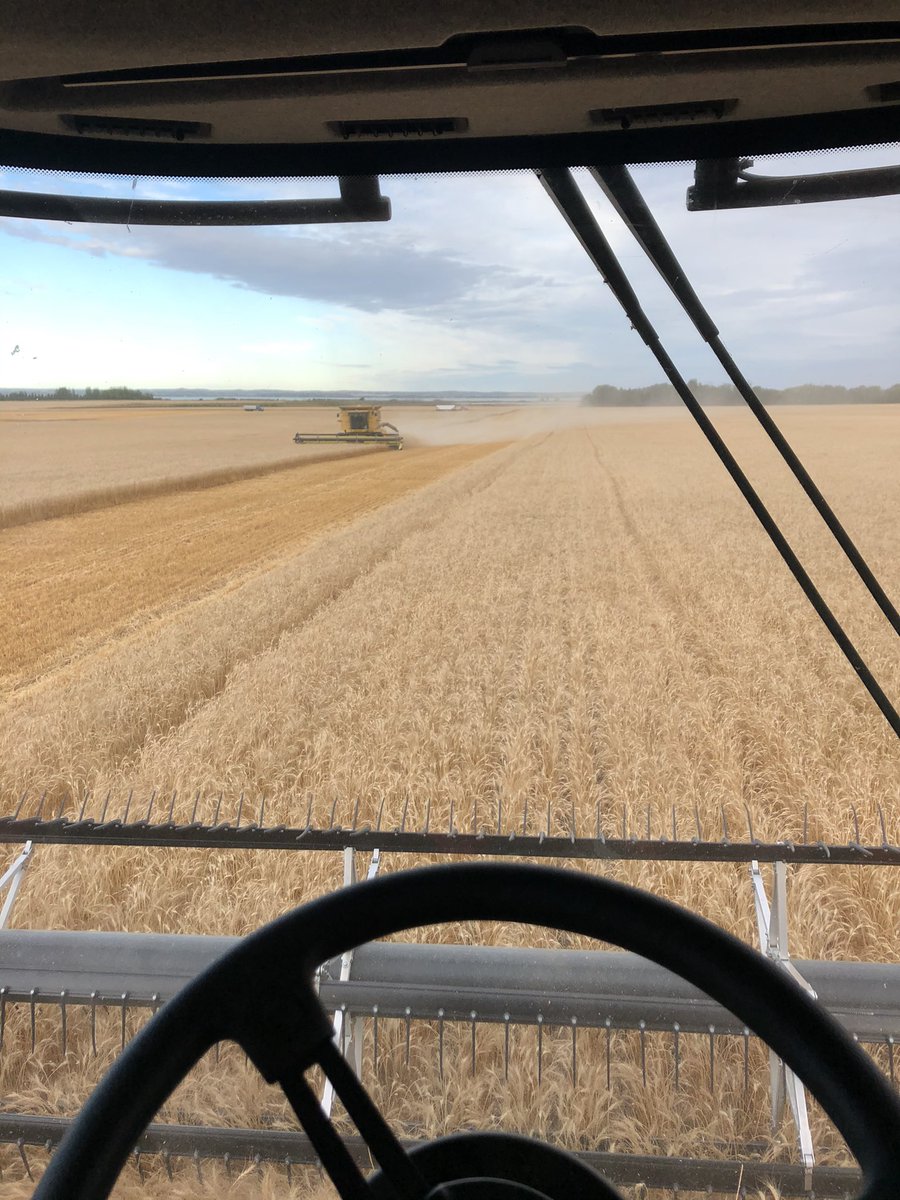emma_schaefer5's tweet photo. Happy Canadian Ag Day! So proud and thankful to have grown up in this industry and to be pursuing a career in it! #CdnAgDay #thankafarmer https://t.co/oHvTZOs91P