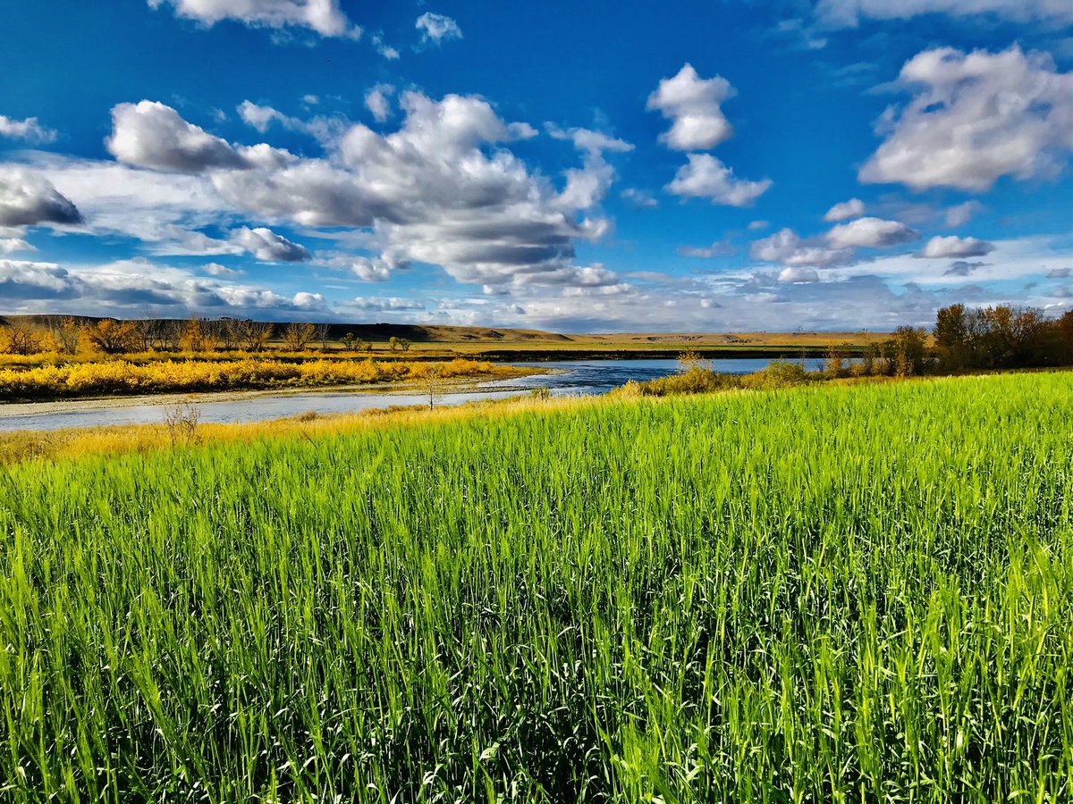 UnruhAdam's tweet photo. Happy #CdnAgDay https://t.co/2aKZNt3top