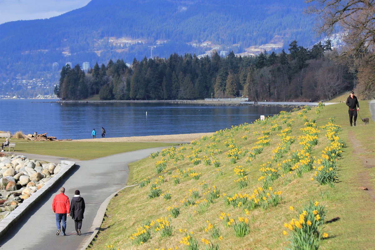 Flowers in February #LoveVancouver @ExploreCanada @HelloBC @CityofVancouver @MyVancouver @WestEndBIA @ParkBoard