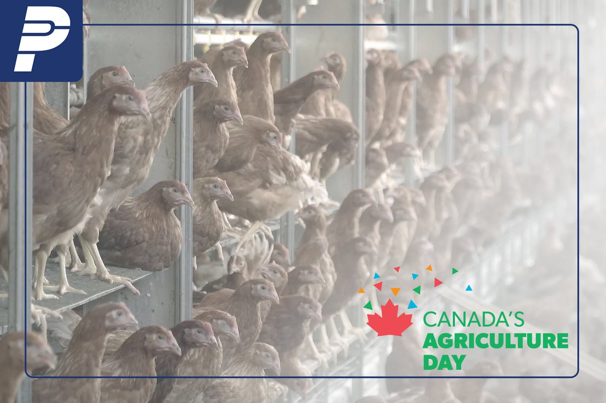 It's one of our favorite days of the year - #CdnAgDay! We want to celebrate you, our farming partners, by giving away a Penner Farm Services swag bag!! 

Simply share your fave on-farm picture, and tag us in your tweet. Winner will be posted tomorrow, Feb 24 @ 10am!