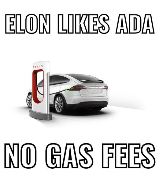 Elon Musk will love ADA since there are no GAS fees.

<a href="/elonmusk/">Elon Musk</a> #Cardano $ADA