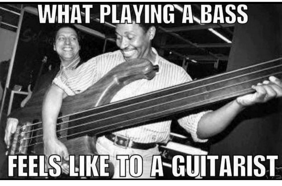 SlitherStrings's tweet image. Be sure to check out some Slither Strings -  Cold Blooded - Bass Strings 🎸🎵

#coldBlooded #bassplayers #slitherstrings