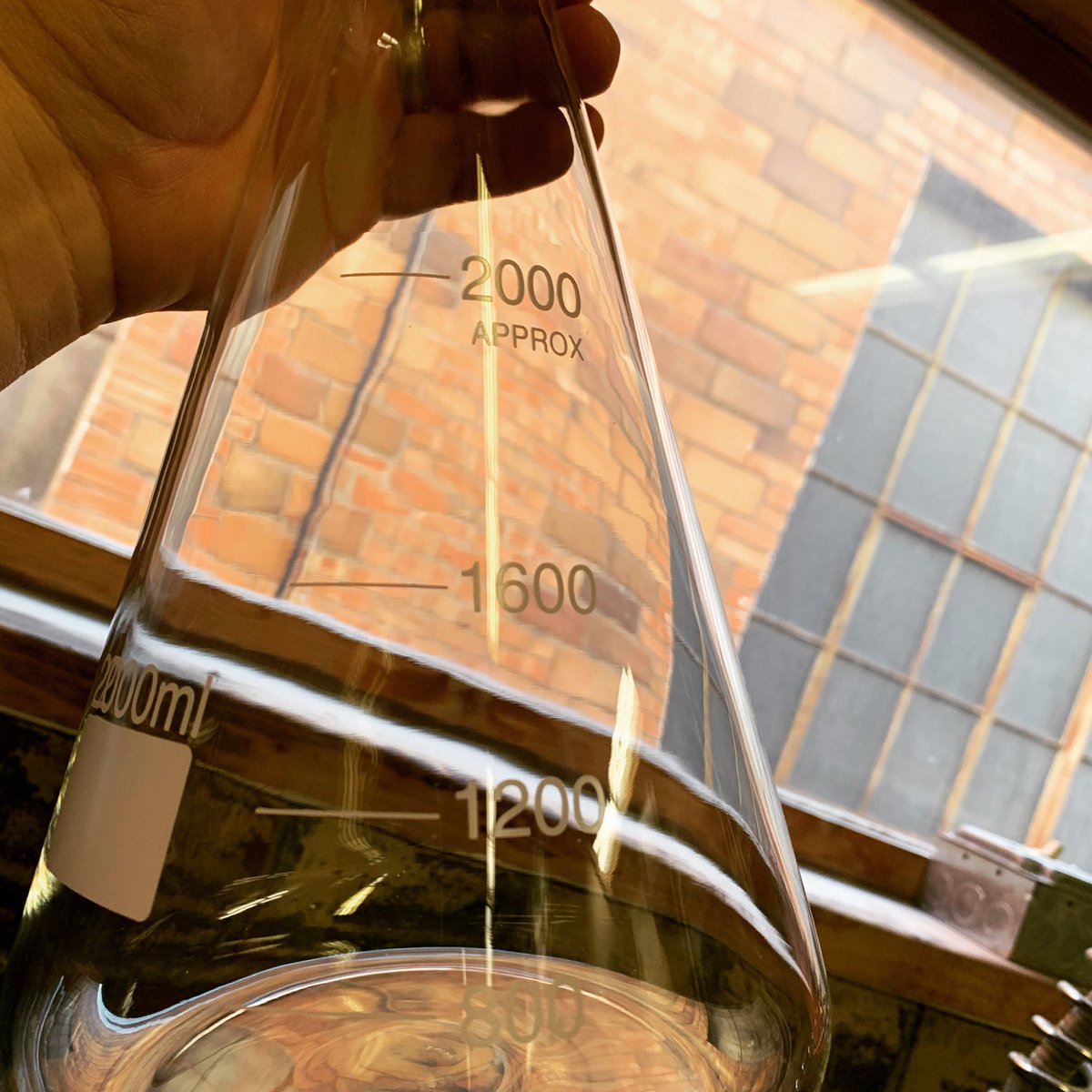 torrentbrewing's tweet photo. Just something about fresh glassware that makes a brewer happy. Stay happy friends!🍻#weeklyrandom #brewerylife #beergoals #beerlife #beer #glassware #labequipment #craftbeer #brewery #taproom #iabeer #amesiowa #pints https://t.co/W8q2cmzcPP